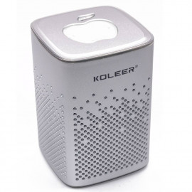 KOLEER S818 Bluetooth Speaker